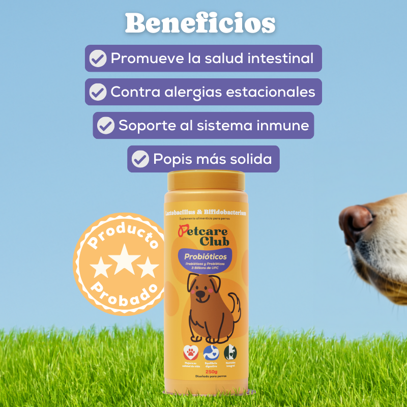 Pet probiotic supplement container with listed health benefits and a dog's nose visible.