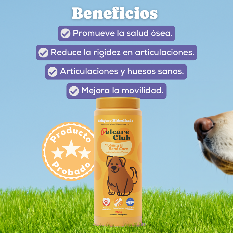 Pet supplement promoting bone and joint health benefits for dogs with an image of a dog's snout.